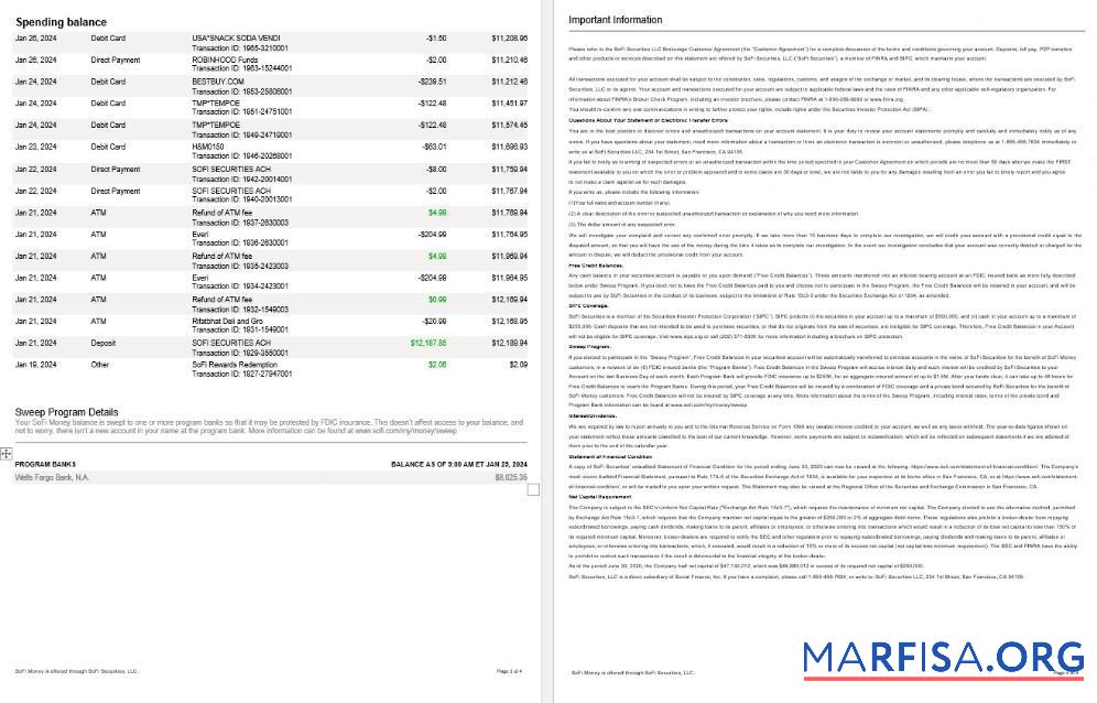 Printable USA Sofi bank statement word 4 pages 2 real example